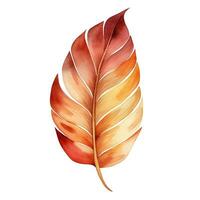 Bright watercolor autumn leaf. Illustration, single element on white background photo