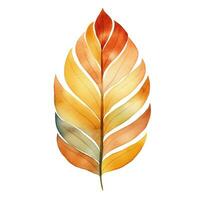 Bright watercolor autumn leaf. Illustration, single element on white background photo