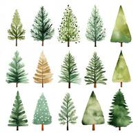 Watercolor set with fir trees, collection of green trees photo