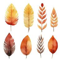 Collection of autumn leaves, watercolor illustration, set photo