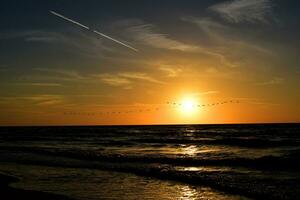 landscape with the setting sun at the Baltic Sea and the key of swans flying in the spring photo