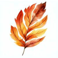 Bright watercolor autumn leaf. Illustration, single element on white background photo