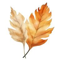 Mini set of autumn leaves, watercolor illustration, leaf fall, clipart, element photo