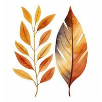 mini conjunto de otoño hojas, acuarela ilustración, hoja caer, clipart, elemento foto