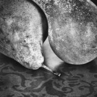 still life with pears on a wooden background photo