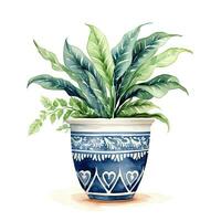 House plant in pot, watercolor illustration, isolated clipart on white background, green leaves, flower photo