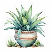 House plant in pot, watercolor illustration, isolated clipart on white background, green leaves, flower photo