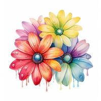 Watercolor flower bouquet, bright rainbow illustration on a white background photo