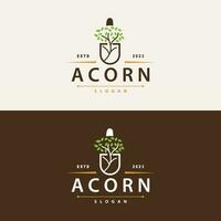 Acorn Logo, Nut Design With Oak Leaves Simple, Templet Illustration Vector