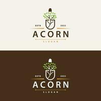 Acorn Logo, Nut Design With Oak Leaves Simple, Templet Illustration Vector