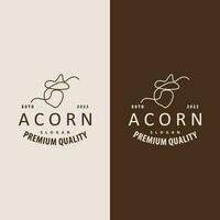 Acorn Logo, Nut Design With Oak Leaves Simple, Templet Illustration Vector