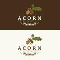 Acorn Logo, Nut Design With Oak Leaves Simple, Templet Illustration Vector