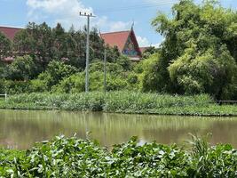 beautiful view of the park with temple and river photo