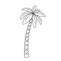Line sketch of palm tree. Cute doodle vector illustration isolated on white background