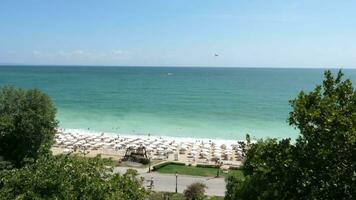 aereo generale Visualizza di un' spiaggia pieno con persone vicino il mare. estate e vacanza video