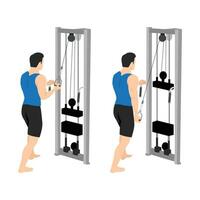 Man doing cable one arm reverse grip tricep pushdown exercise. vector