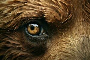 Profound Closeup bear eyes animal. Generate Ai photo