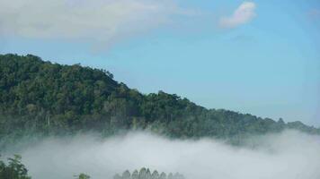 o movimento da névoa pelas montanhas pela manhã. nuvens cumulus seguem o vento. a névoa em khao kho, phetchabun, tailândia video