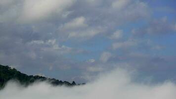 o movimento da névoa pelas montanhas pela manhã. nuvens cumulus seguem o vento. a névoa em khao kho, phetchabun, tailândia video
