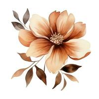 Abstract watercolor flower in boho style, brown beige color, isolated illustration on white background. Generative AI photo