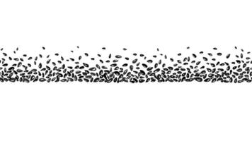 Seeds seamless pattern. Sesame border Vector print