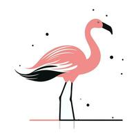 Flamingo. Vector illustration. Isolated on white background.