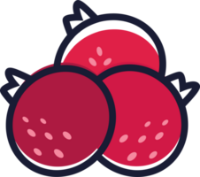 Currant berry color icon. line style sign. For mobile concept and web design, poster, app, package. PNG, transparency.. png