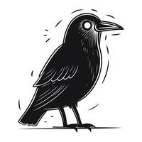 Crow. Vector illustration of a black raven on a white background.