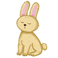 A rabbit sleeping while sitting png