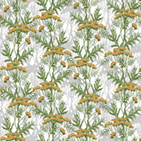 Tansy seamless Pattern. Hand drawn watercolor background with yellow herbs and green leaves on isolated backdrop. Floral vintage wallpaper. Illustration for wrapping paper or textile design. png