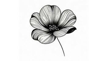 A graceful drawing of a flower in bloom with sleek lines and subtle stippling. AI Generated photo