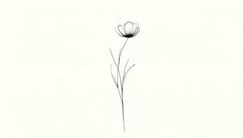 un minimalista bosquejo de un delicado flor con un elegante forma. ai generado foto