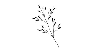 A simple sketch focusing on a slender stem with elongated leaves. AI Generated photo