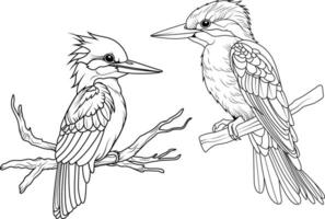 Hand drawn outline of kingfisher vector