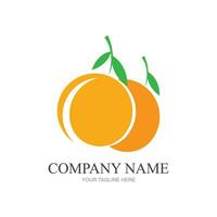 Orange logo design vector