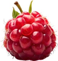 AI generative,Raspberry fruit, Fresh raspberries png