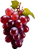 uva fruta, Fresco uvas, maduro uvas, jugoso uvas ai generativo png