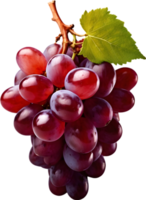 Grape fruit, Fresh grapes, Ripe grapes, Juicy grapes AI generative png