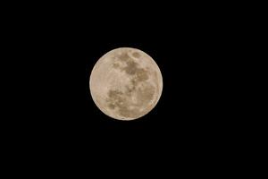 el Luna es mostrado en el oscuro cielo foto