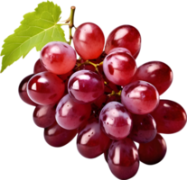 grain de raisin fruit, Frais raisins, mûr raisins, juteux les raisins ai génératif png