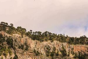 a mountain with trees on top photo