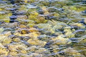 el agua es claro y azul con rocas y algas foto