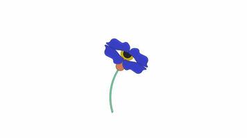 Weird single flower human eye line 2D object animation. 1970s vibes plant flat color cartoon 4K video, alpha channel. Boho botanic anemone. Enchanted bohemian floral animated item on white background video