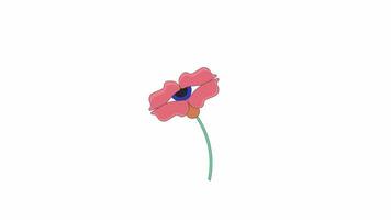 Eyeball flower with stem line 2D object animation. Blossom spiritual imagination flat color cartoon 4K video, alpha channel. Fantasy hallucination. Mystical plant animated item on white background video