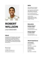 MODERN RESUME template