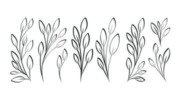 Black and white decorative doodle twigs with leaves. Set of botanical isolated vector branches, sketch style.