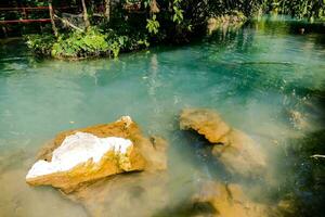 the river in the jungle photo