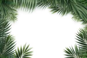 ai generado palma hoja marco en blanco foto