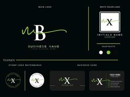 Initial Fashion Nb Logo Icon, Luxury NB Modern Signature Logo And Presentation vector