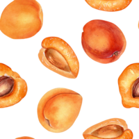 acuarela todo y segmento albaricoques sin costura modelo. amarillo frutas ilustración. naranja durazno, nectarina mano dibujado. diseño elemento para paquete, envase, textil, antecedentes. png